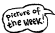 link to picture of the week